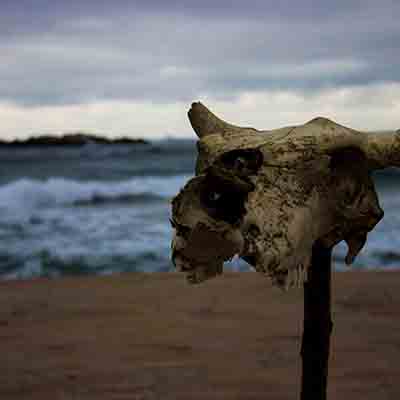 İğneada Longoz Ormanı