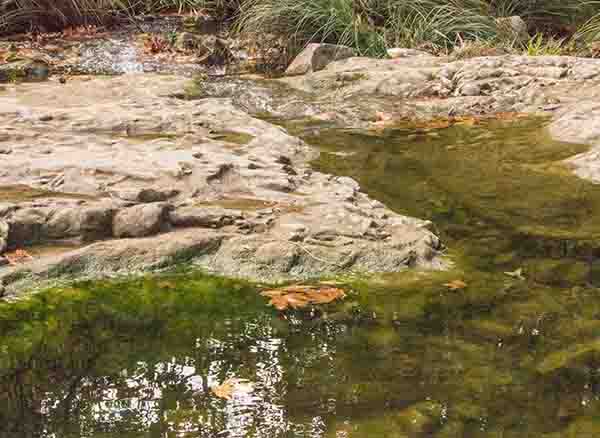 Gebze Ballıkayalar Gölet