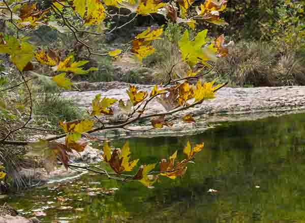 Gebze Ballıkayalar Şelale