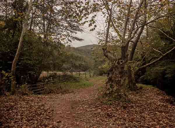 Hacıllı Şelale Yolu
