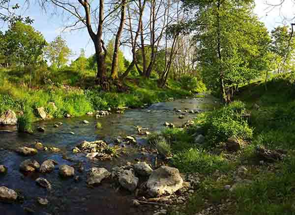 Gebze Ballıkayalar Nehri