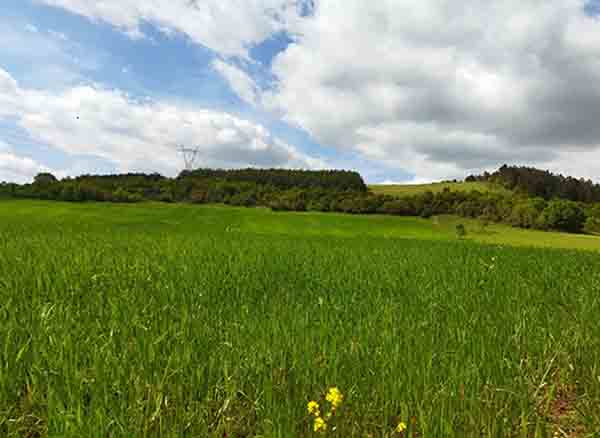 Gebze Ballıkayalar Ova