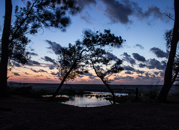 iğneada Longoz Ormanı