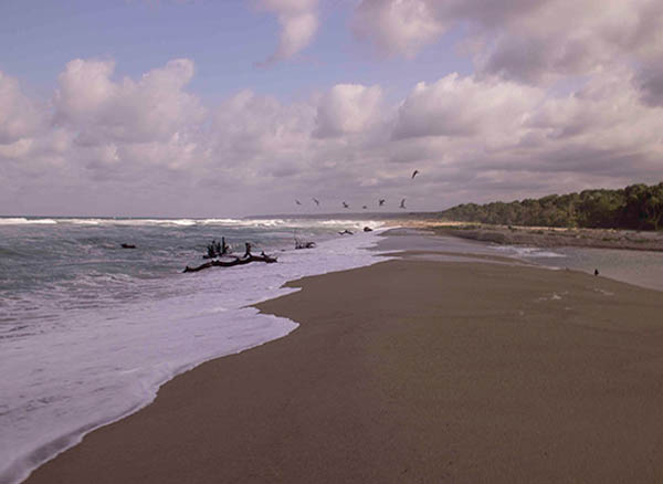 İğneada Longoz Ormanı