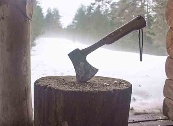 Serdar Kılıç Doğadaki Yabancı