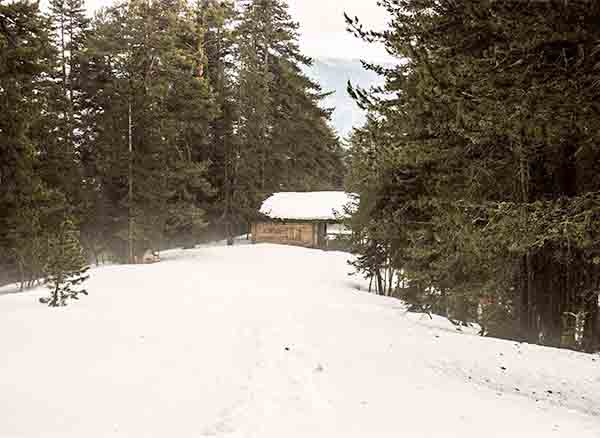 Serdar Kılıç Dağevi