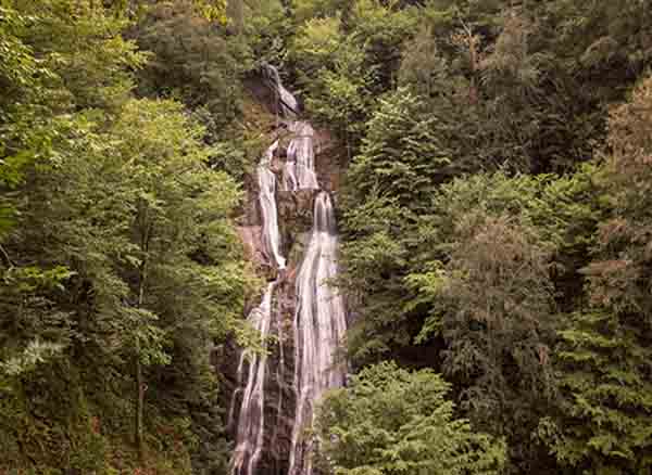 Sinekli Yaylası Bolu