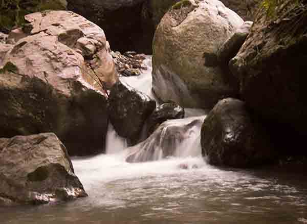 Sinekli Yaylası Bolu