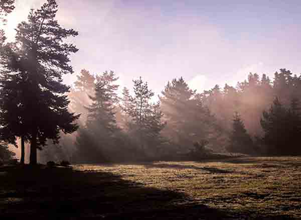 Sinekli Yaylası Bolu