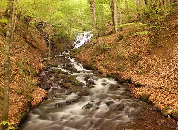 Yedigöller Milli Parkı
