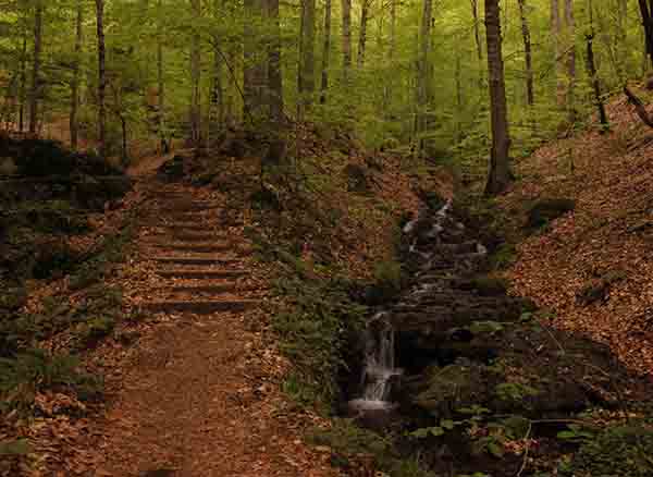 Yedigöller Milli Parkı