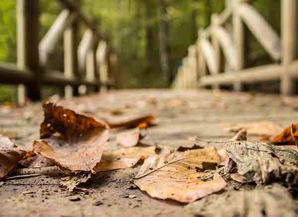 Yedi Göller Mİlli Parkı