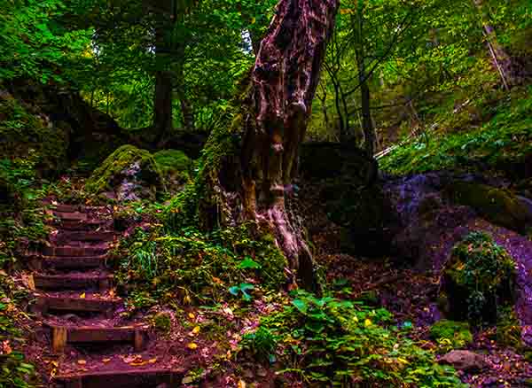 Yedigöller Milli Parkı