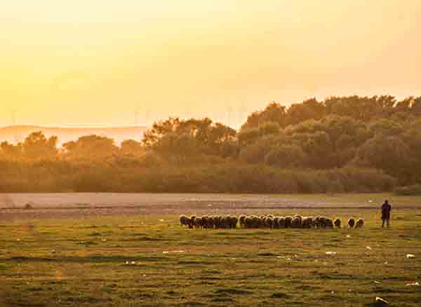 Balıkesir Günbatımı 