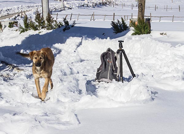 Yedigöller Milli parkı