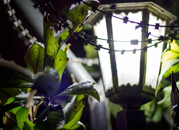 Dikenli Tellerin Arasında Görünen Gece Lambası