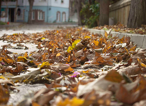 Büyükada'da Sonbahar