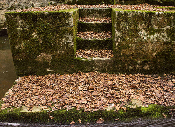 Belgrad Ormanı Su Bendi
