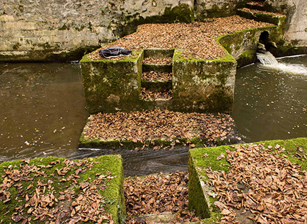 Belgrad Ormanı Su Bendi