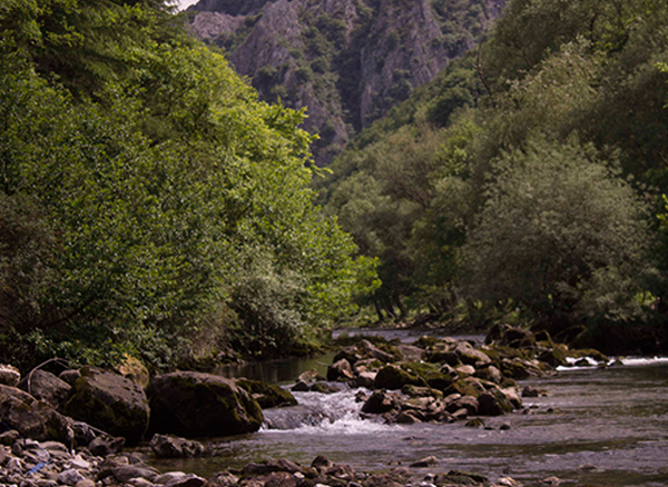 Makedonya Matka Kanyonu