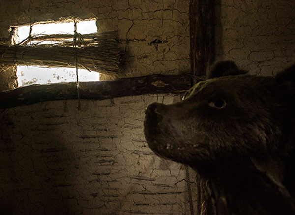 Makedonya Su Müzesi