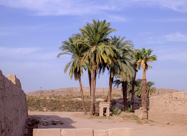 Mısır Gize Piramitleri 