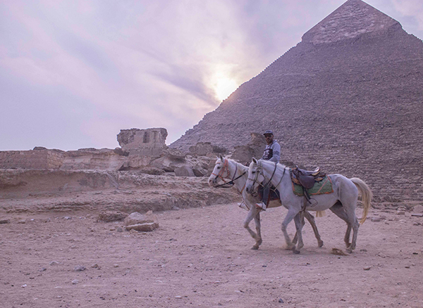 Mısır At Safari Turu